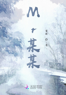 Mr某某