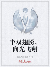 半雙翅膀，向光飛翔