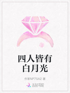 四人皆有白月光在线阅读