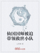 仙国国师被迫带领救世小队在线阅读