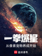 一拳爆星：從像素寵物養(yǎng)成開始在線閱讀