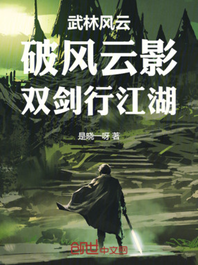 武林风云：破风云影，双剑行江湖在线阅读