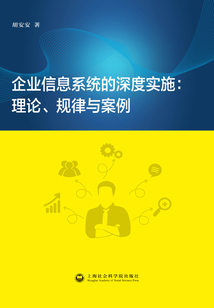 企業信息系統的深度實施：理論、規律與案例