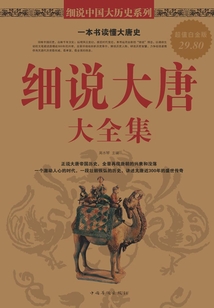 細(xì)說(shuō)大唐大全集