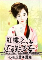 红楼之还珠与溶在线阅读