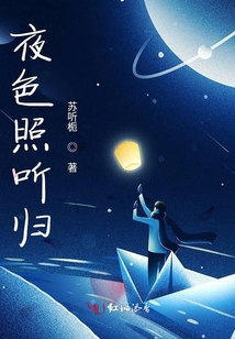夜色照聽歸