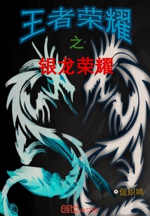 王者榮耀之銀龍榮耀