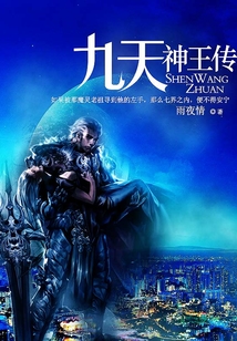 九天神王傳