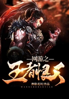 网游之王者恨天