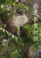 給道長發(fā)把狙在線閱讀