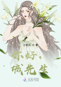 你好，城先生