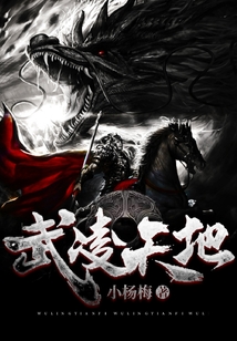 武凌天地