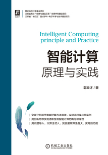 智能計算：原理與實踐