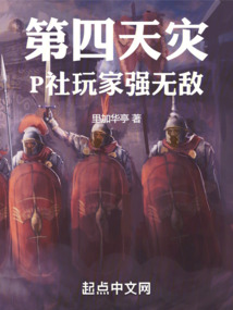 第四天灾:神圣罗马的P社玩家