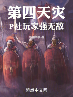 第四天灾：神圣罗马的P社玩家在线阅读
