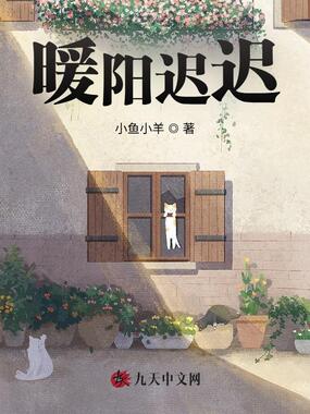 暖阳迟迟在线阅读