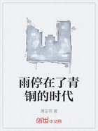 雨停在了青铜的时代在线阅读