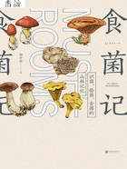 食菌记:识菌、拾菌、食菌的山林记忆在线阅读