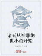 诸天从神雕绝世小童开始在线阅读