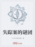 失踪案的谜团在线阅读