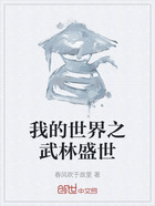 我的世界之武林盛世在線閱讀
