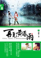再见黄昏雨在线阅读