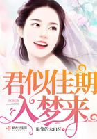 君似佳期入夢來在線閱讀