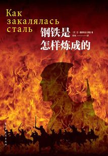 鋼鐵是怎樣煉成的