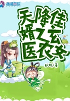 天降佳婿之玄医农女在线阅读