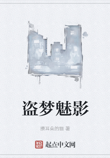 盜夢(mèng)魅影
