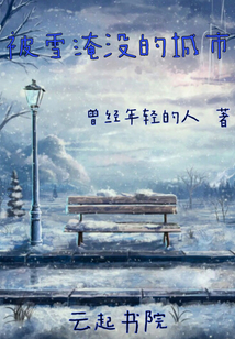 被雪淹沒的城市