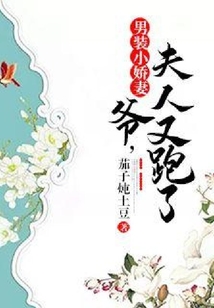 男装小娇妻：爷，夫人又跑了