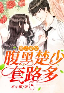 掌上妻寶：腹黑楚少套路多