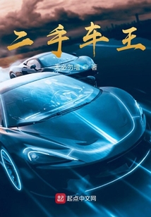 二手車王