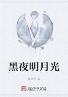 黑夜明月光在線閱讀