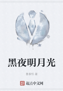 黑夜明月光