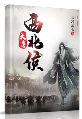 大唐西北侯在线阅读