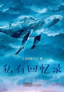 私有回憶錄