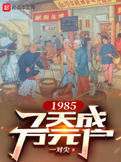 1985，7天成万元户在线阅读