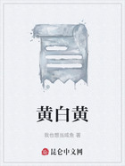 黄白黄在线阅读