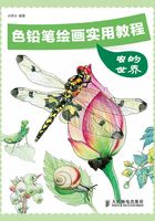 色铅笔绘画实用教程：虫的世界