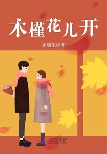 木槿花兒開
