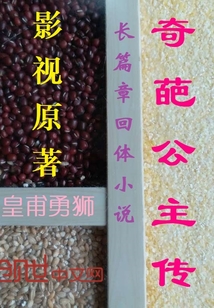 神極公主傳傳