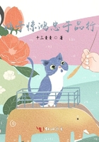 始于惊鸿忠于品行