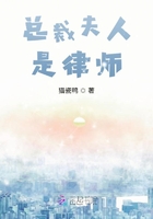 總裁夫人是律師在線閱讀