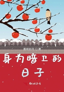 身為暗衛(wèi)的日子