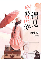 遇見剛好的你在線閱讀