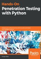 Hands-On Penetration Testing with Python在线阅读