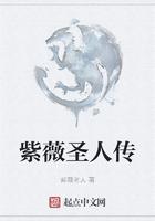 紫薇圣人传在线阅读