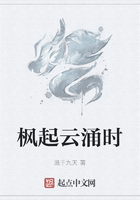 枫起云涌时在线阅读